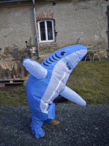 Haifische