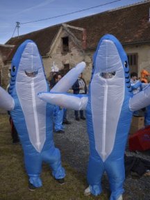 Haifische