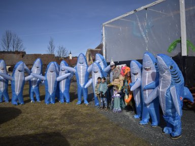 Haifische