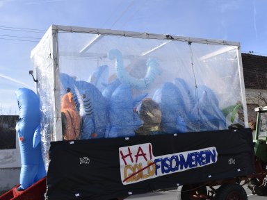 Haifische