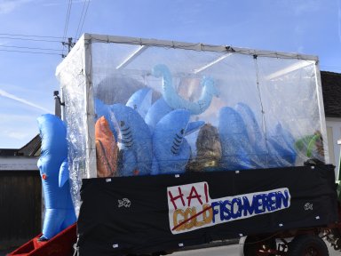 Haifische