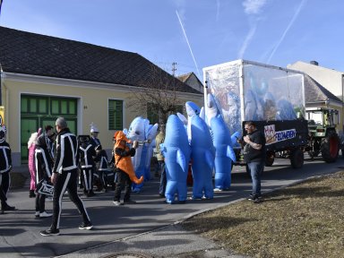 Haifische
