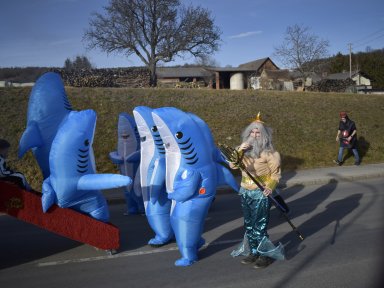 Haifische