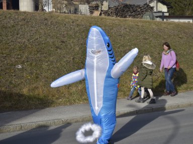 Haifische