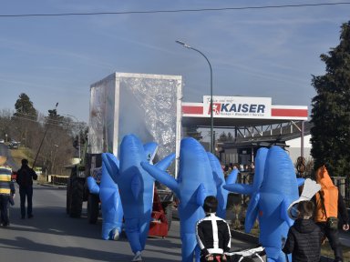 Haifische