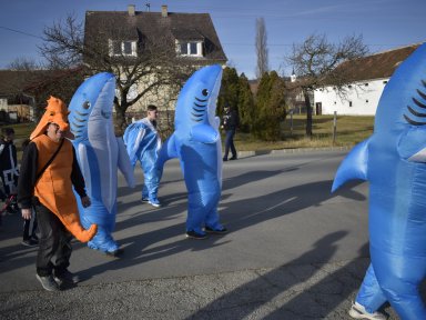 Haifische