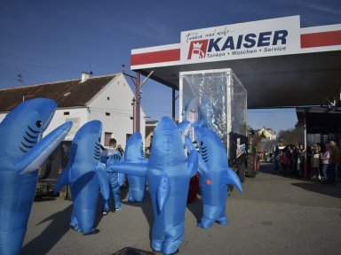 Haifische