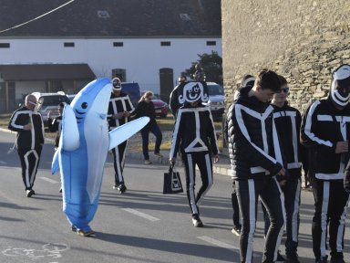 Haifische